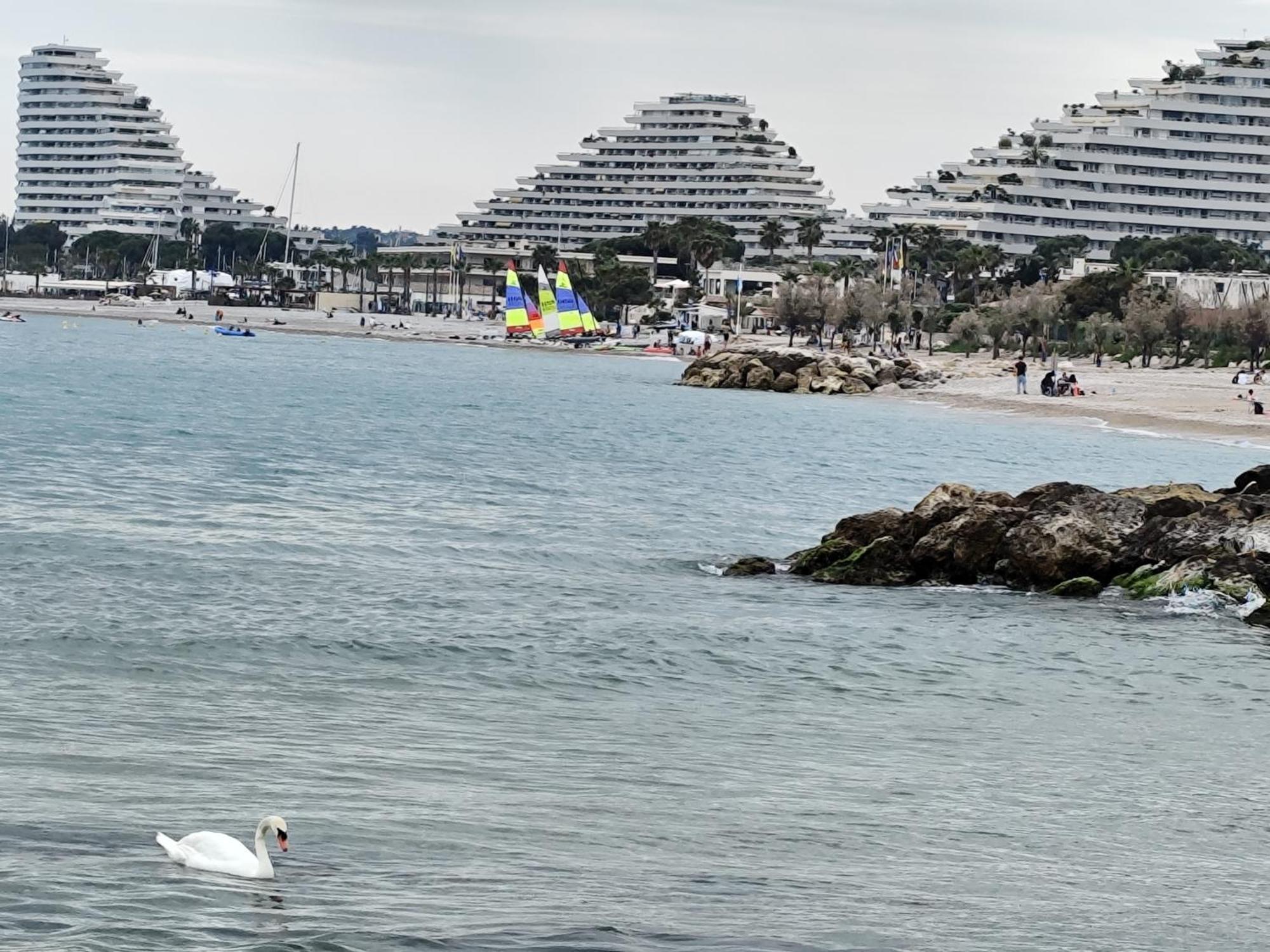 La Marina - T2 Apartment Villeneuve-Loubet Eksteriør billede